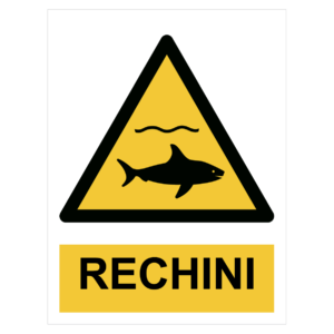 Sticker Rechini